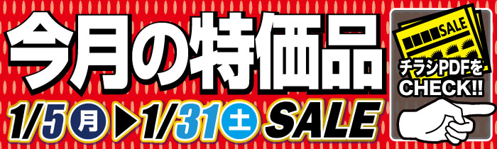 今月の特価品【PDFチラシ】