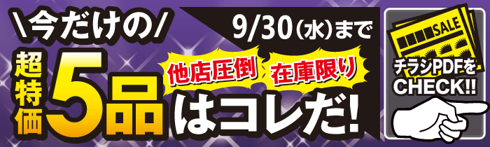 今だけの超特価5品はこれだ！【PDFチラシ】