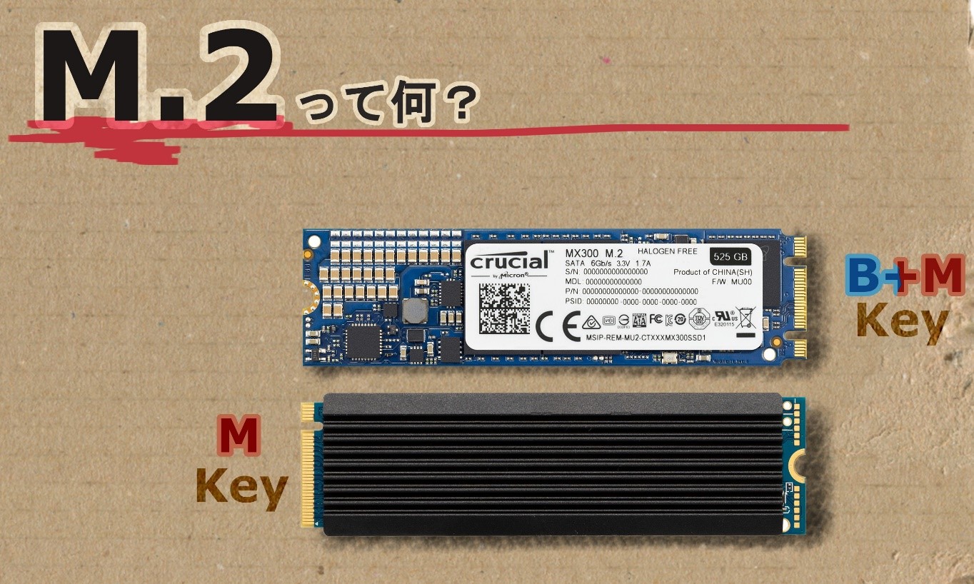 19年版 M 2 Ssdとは Sata接続とnvme接続の違いについてもまとめました Zoaブログ