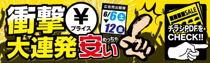 衝撃プライス大連発 めっちゃ安い【PDFチラシ】