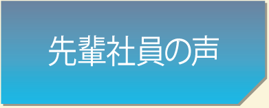 先輩社員の声